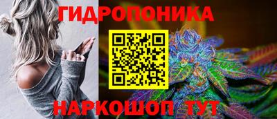 соль ск Сланцы