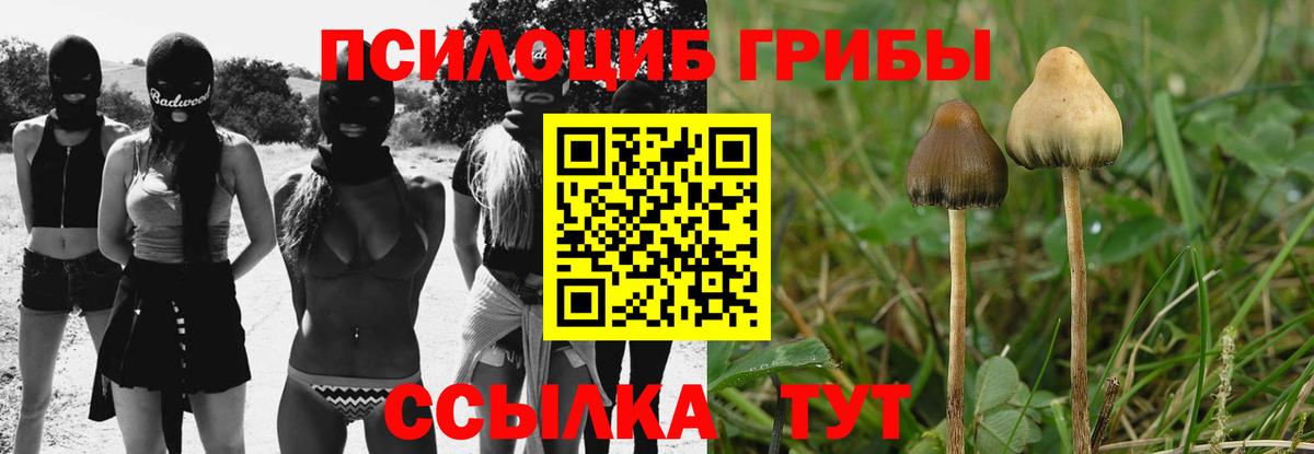 Псилоцибиновые грибы Psilocybe  наркотики  Псилоцибиновые грибы Magic Shrooms  Прохладный  Вход с VPN 
